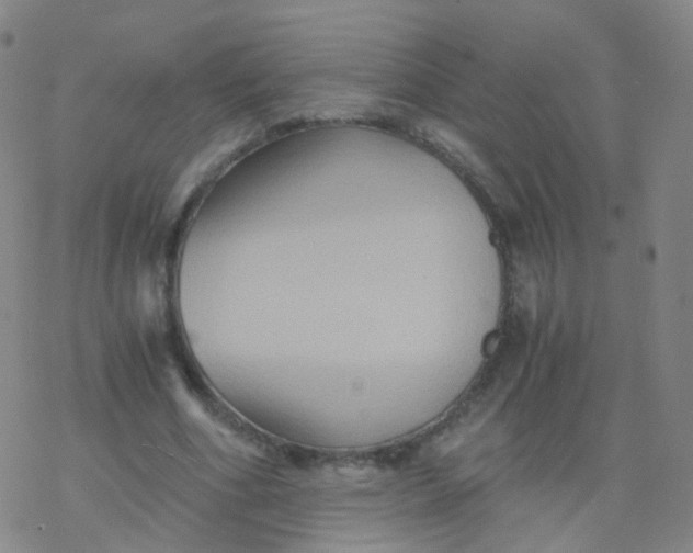 X0000076450586200610271826