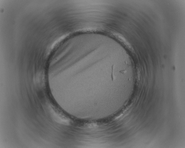 X0000076450588200610271826