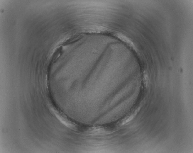 X0000076450589200610271826