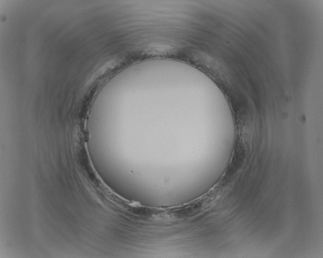 X0000076450591200610271826