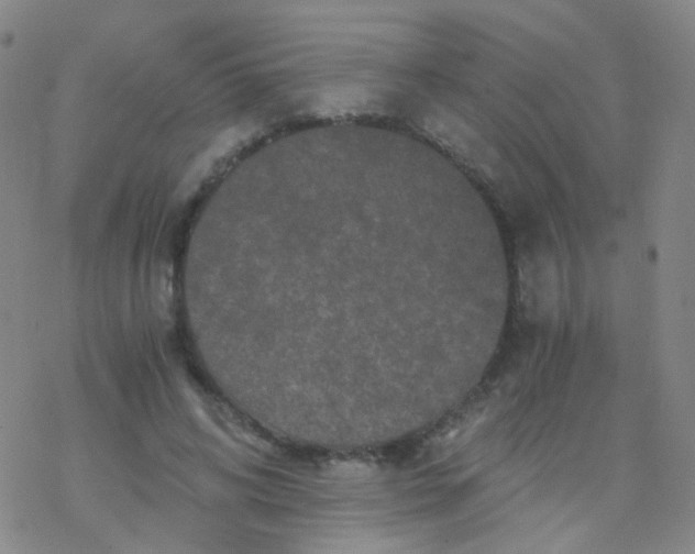 X0000076450592200610271826