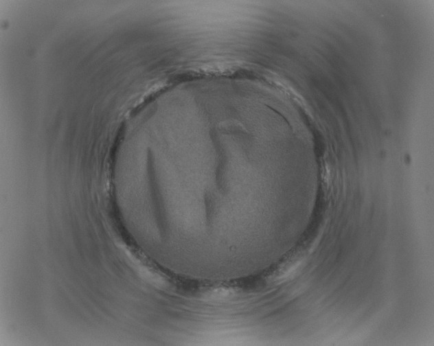 X0000076450593200610271826