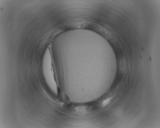 X0000076450594200610271826