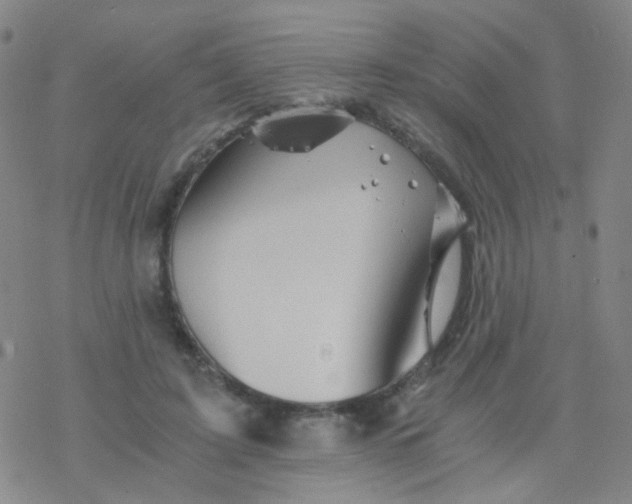 X0000076450595200610271826