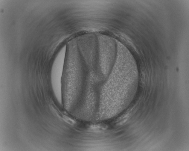 X0000076450596200610271826