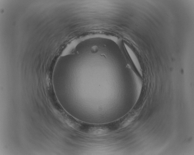 X0000076450597200610271826