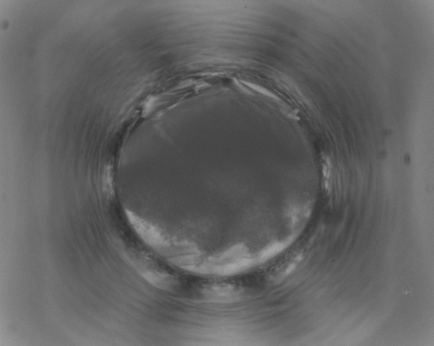 X0000076450598200610271826