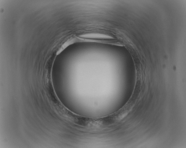 X0000076450599200610271826