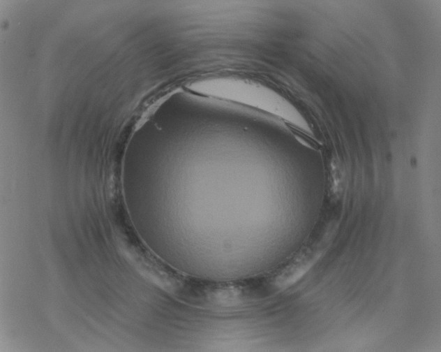 X0000076450600200610271826