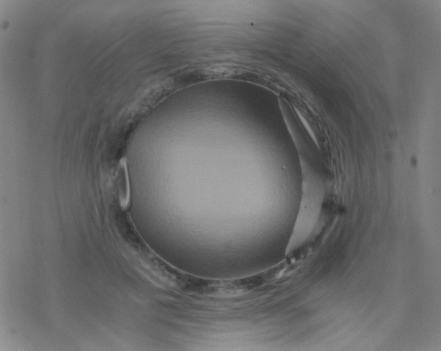 X0000076450601200610271826