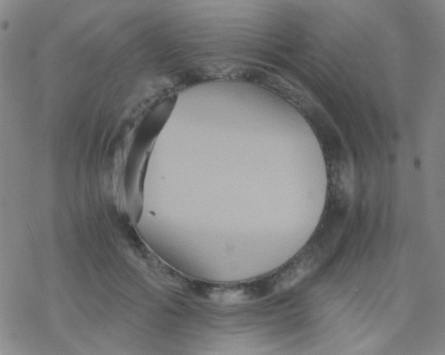 X0000076450602200610271826