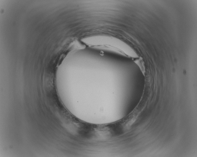 X0000076450603200610271826