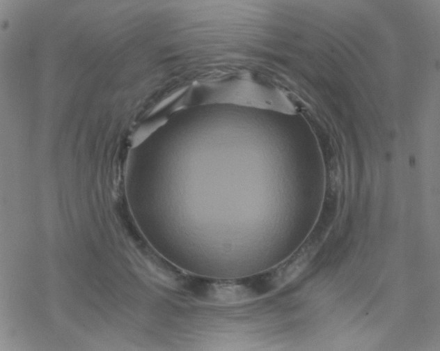 X0000076450605200610271826