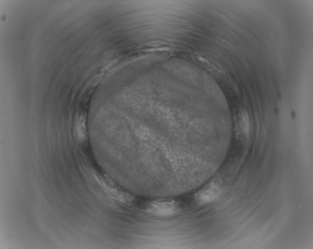 X0000076450606200610271826