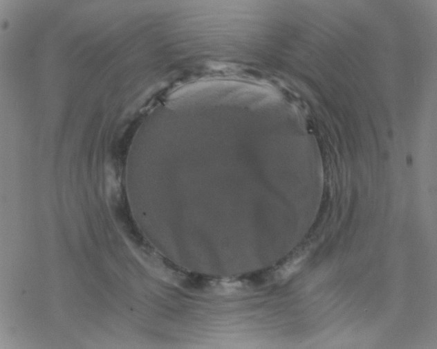 X0000076450607200610271826