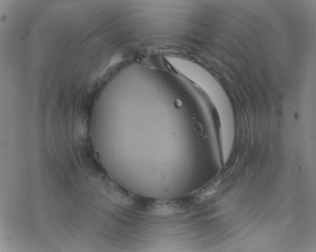 X0000076450608200610271826