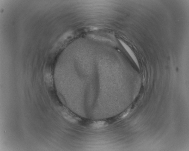 X0000076450609200610271826