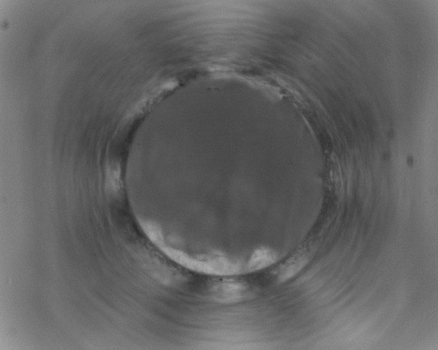 X0000076450610200610271826