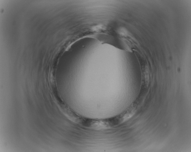 X0000076450611200610271826