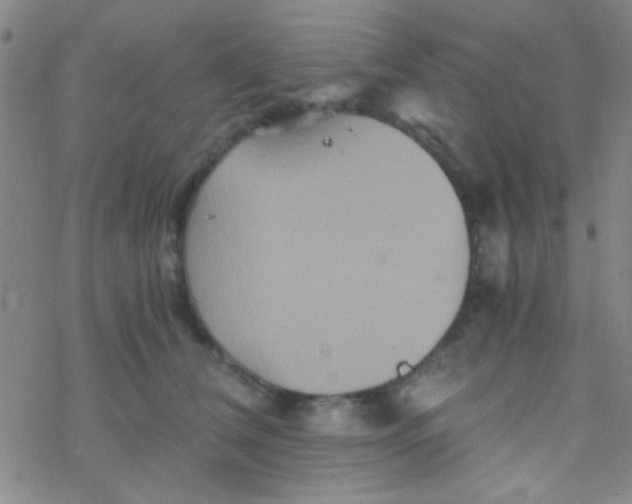 X0000076450612200610271826