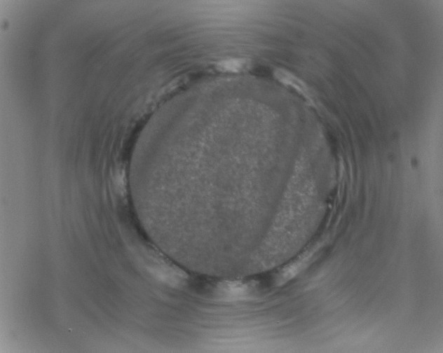 X0000076450613200610271826