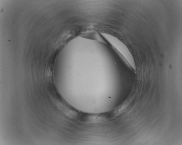 X0000076450614200610271825