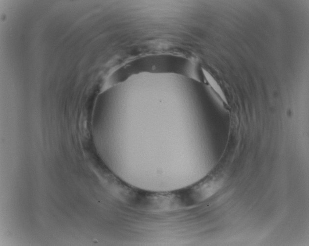 X0000076450615200610271825