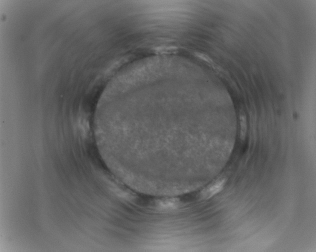 X0000076450618200610271825