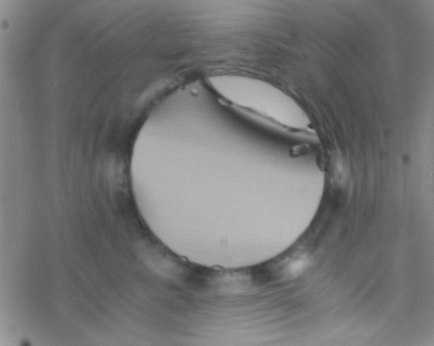 X0000076450619200610271825