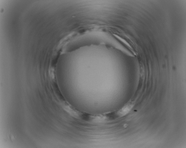 X0000076450621200610271825