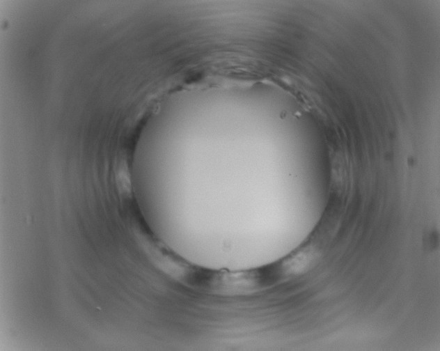 X0000076450622200610271825