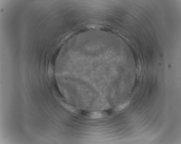 X0000076450623200610271825