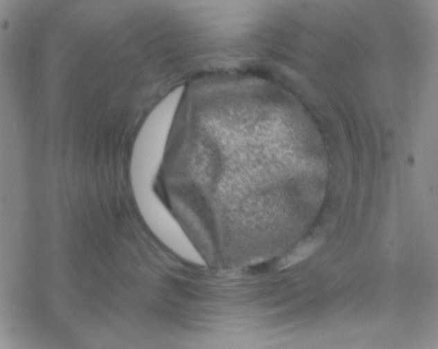 X0000076450624200610271825