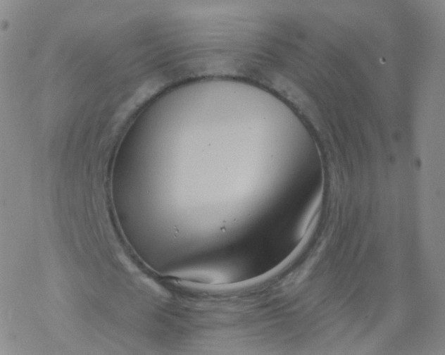 X0000076450625200610271825