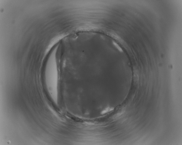 X0000076450626200610271825