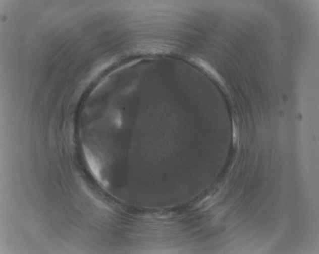 X0000076450627200610271825