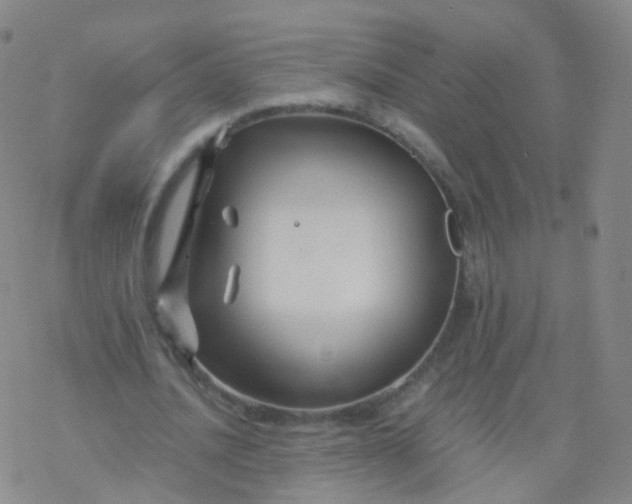 X0000076450628200610271825