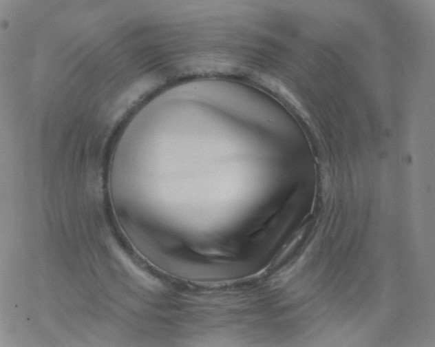 X0000076450629200610271825