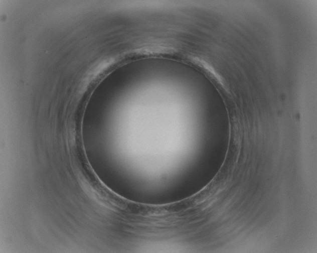 X0000076450631200610271825