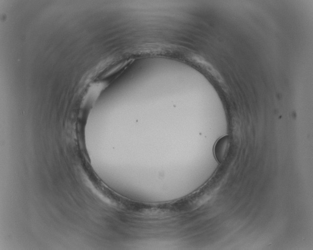 X0000076450633200610271825