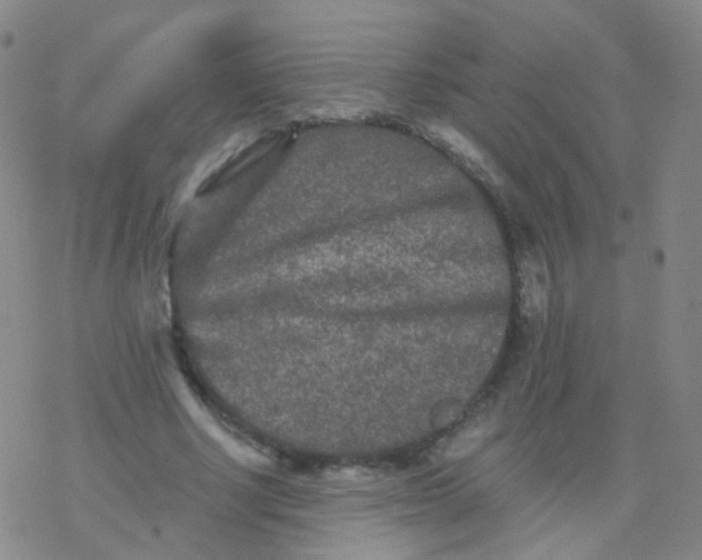 X0000076450634200610271825