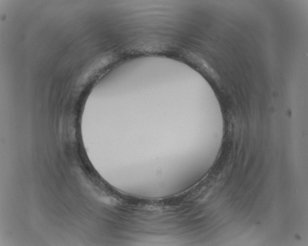 X0000076450635200610271825