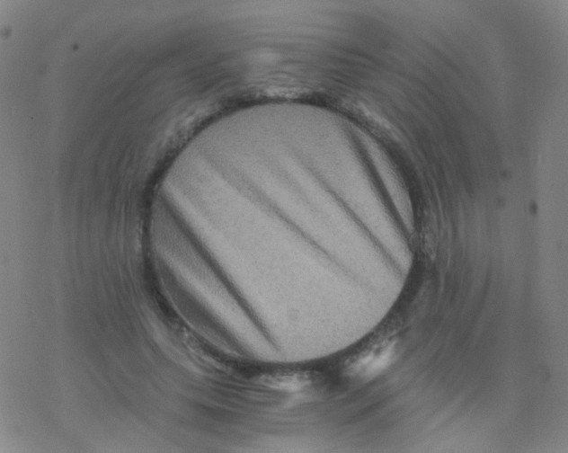 X0000076450639200610271825