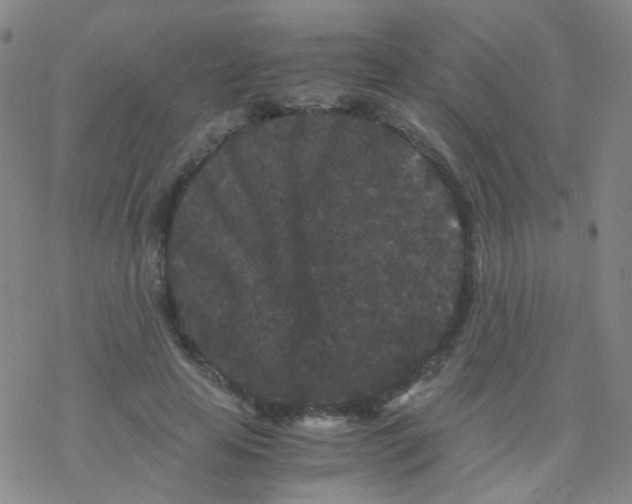 X0000076450641200610271825