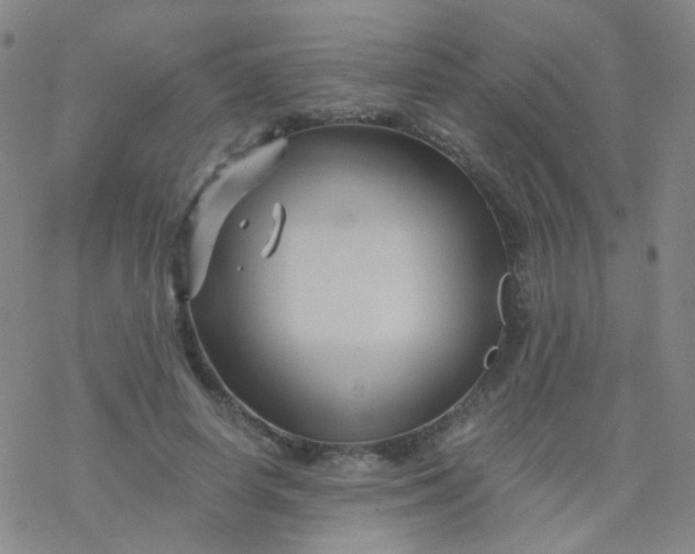 X0000076450642200610271825