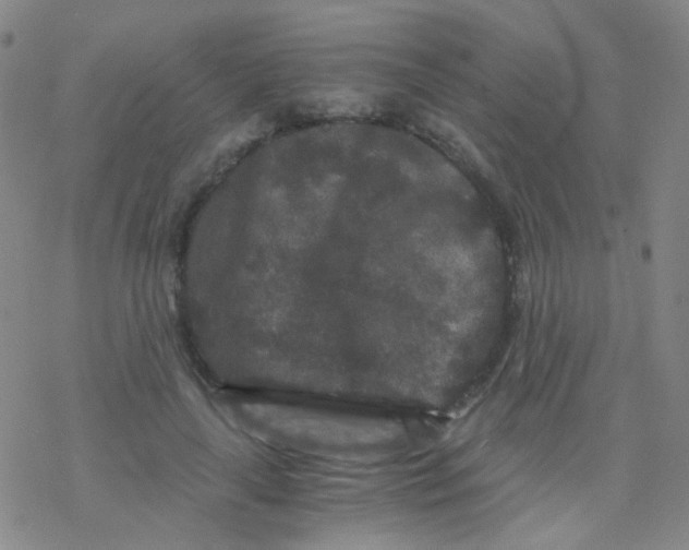 X0000076450643200610271825