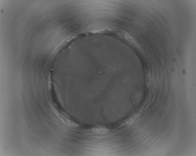 X0000076450644200610271825