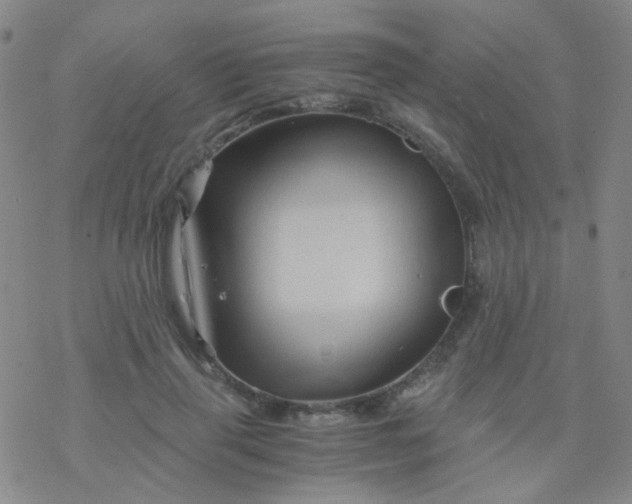 X0000076450645200610271825