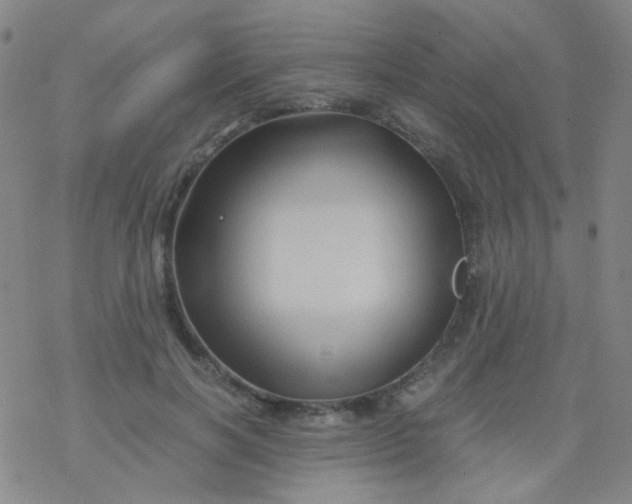 X0000076450646200610271825