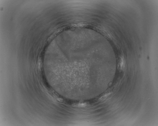 X0000076450647200610271825